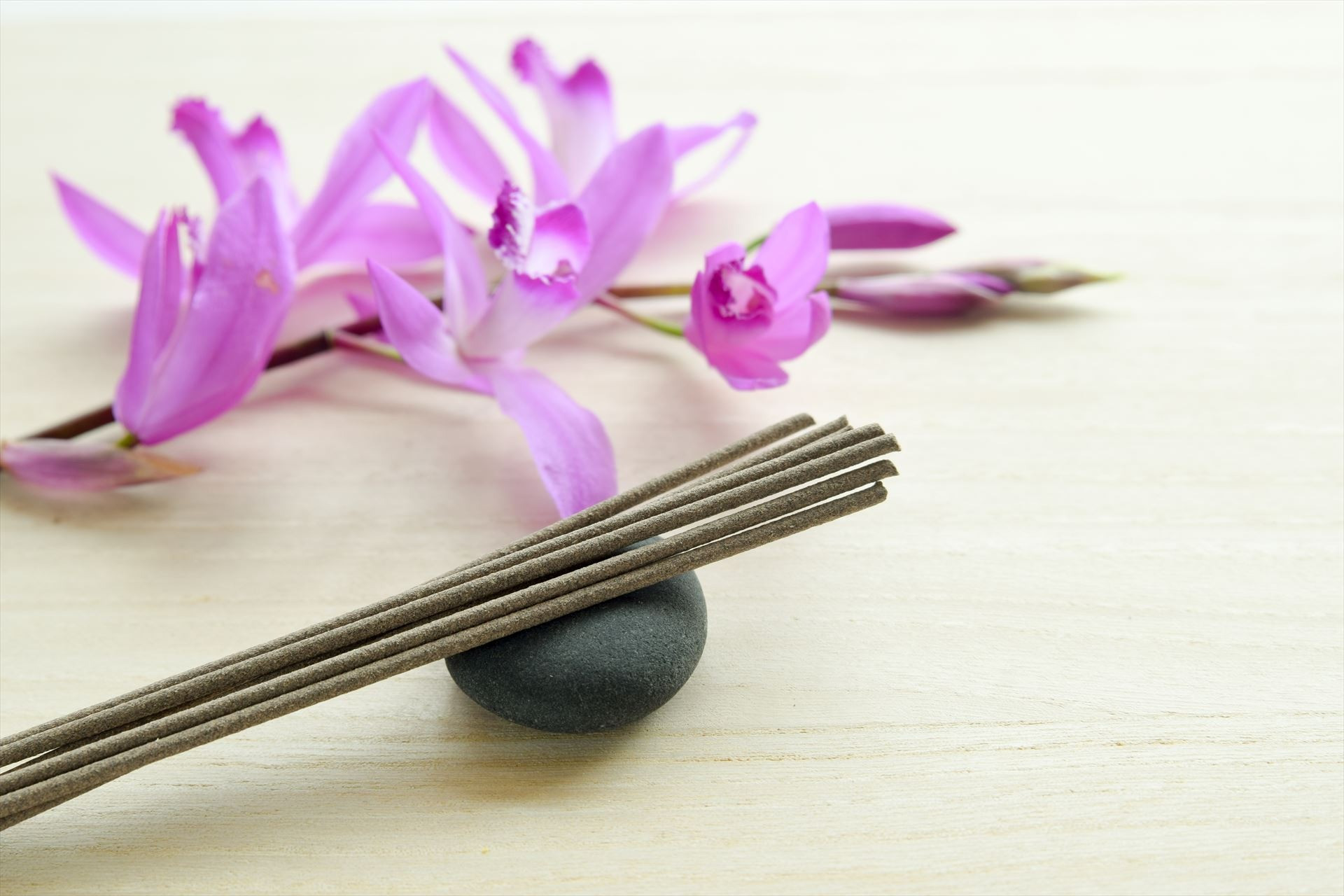 エイチ・パグ合同会社